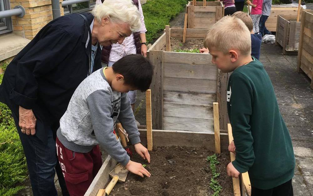Børn fra Harreskovskolen dyrker grønsager sammen med beboere i Demenshjemmet Bakkegården. Foto: Haver til Maver